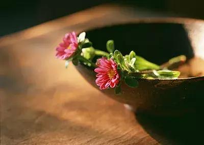 改变固然痛苦但是结果值得冒险,改变是痛苦的但也是快乐的