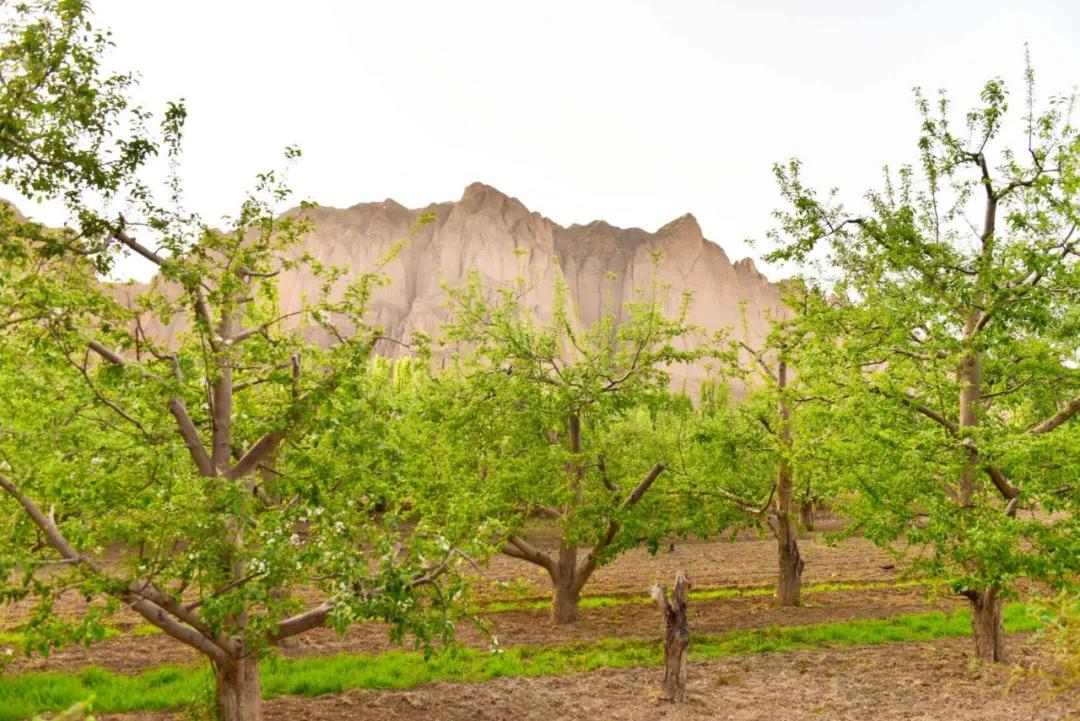 住最静的酒店，看最美的景！只因在黄河石林~