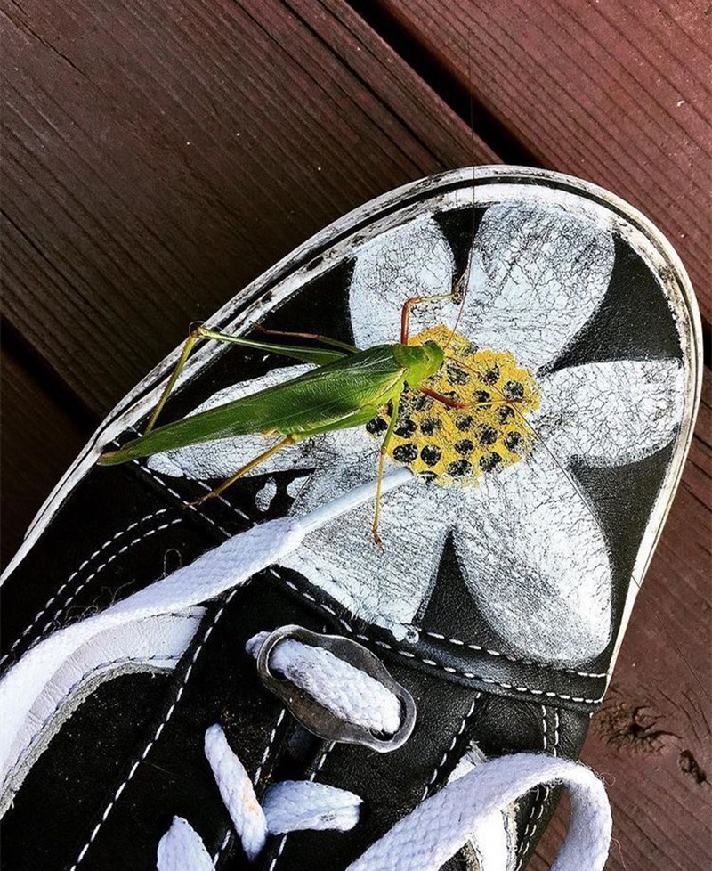 澶忔棩jk瀹夊埄,澶忔棩瀹夊埄闃叉檼