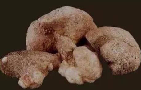 感染性结石会导致尿路持续感染吗,感染性结石用冲击波碎石好碎吗