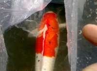 开渔场赚钱吗,开渔场需要多少资金