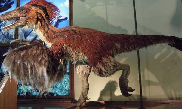 恐龙的种类很多形态更是千奇百怪,世界上所有的恐龙的名字和图片