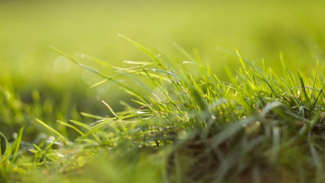 十二星座讨厌天秤的表现,十二星座不喜欢你表现天秤