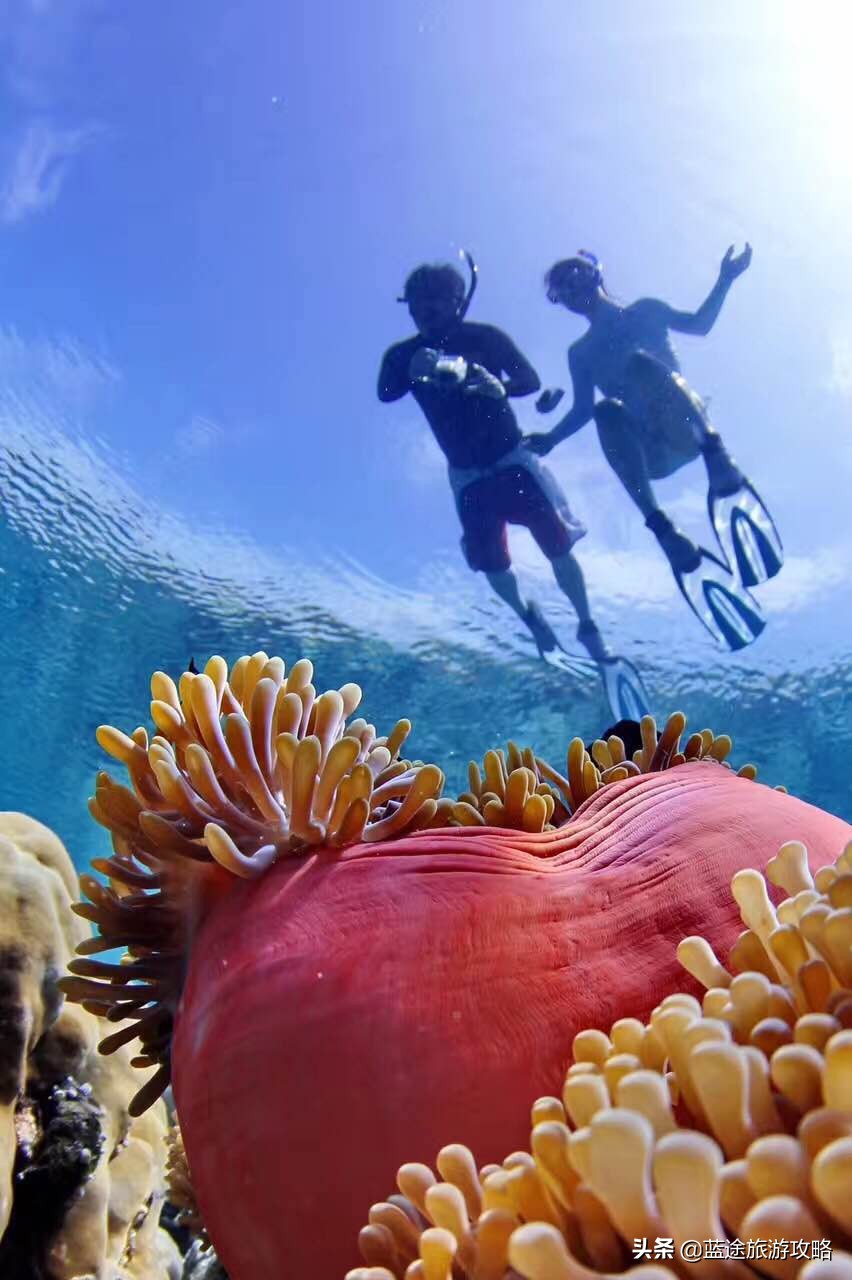 马尔代夫性价比高的五星岛,马尔代夫五星级岛屿推荐