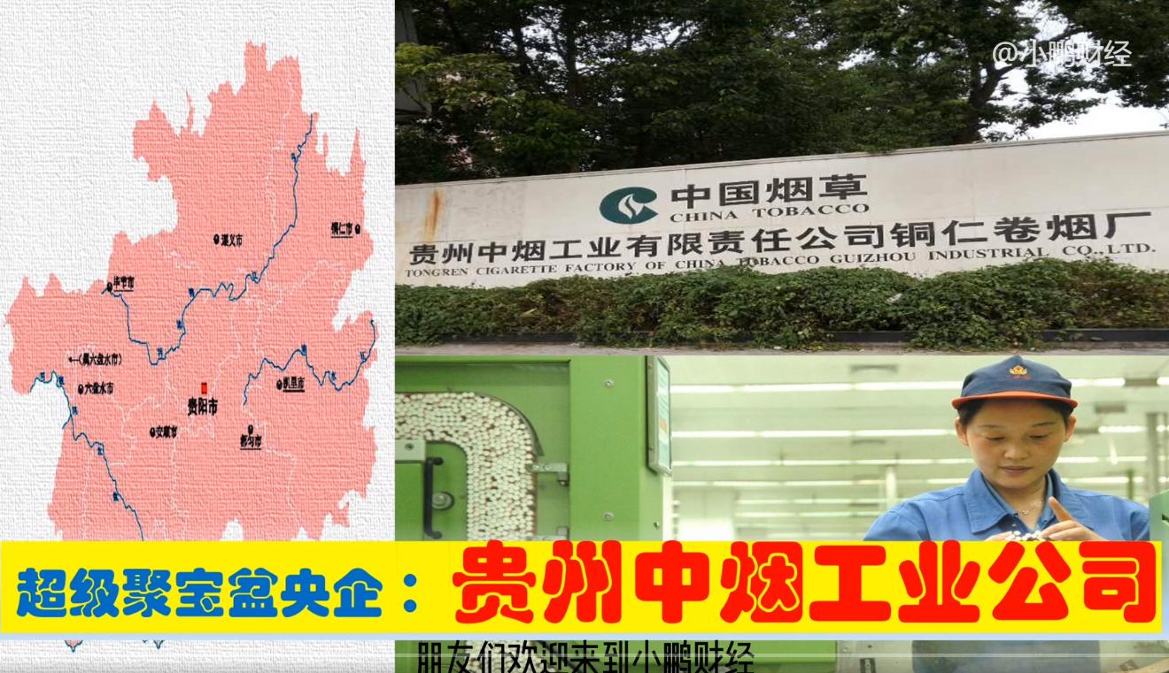 贵州国企破产,贵州失去的优质企业