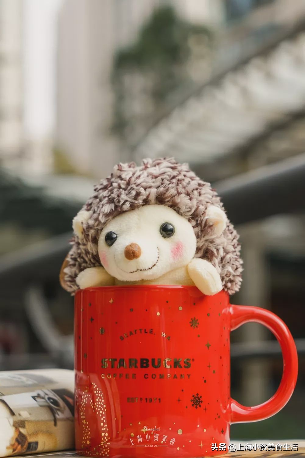 星巴克刺猬冷萃保温杯,星巴克保温杯小刺猬