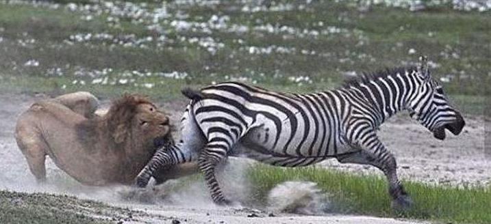 上海期货交易员,夜盘期货交易员