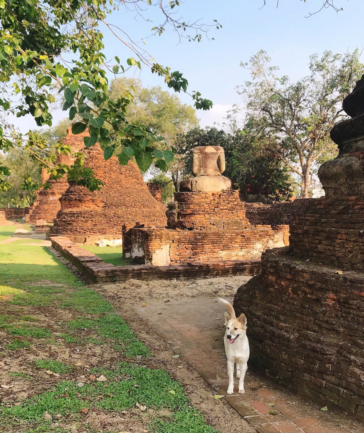 最好的时光遇见你全集,最好的时光泰剧版