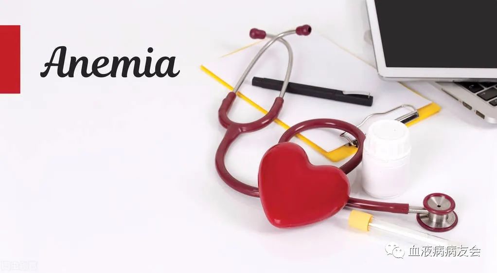 再障ATG治疗期间血象有变化么,再障一年了血象恢复的慢咋回事