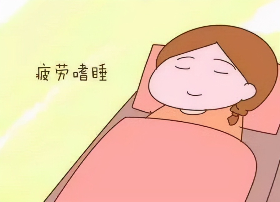 是不是整个孕期都有早孕反应,孕期第二周有什么反应