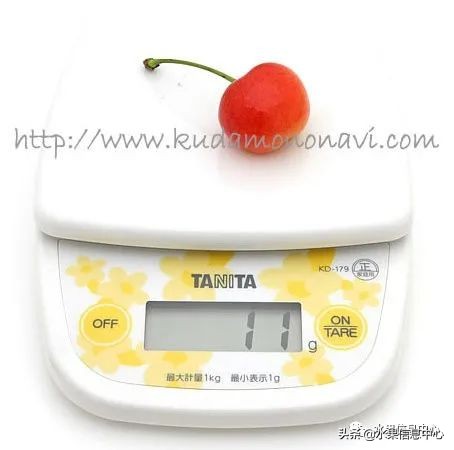 卖樱桃8块一斤十五块两斤的视频,一斤樱桃多少钱