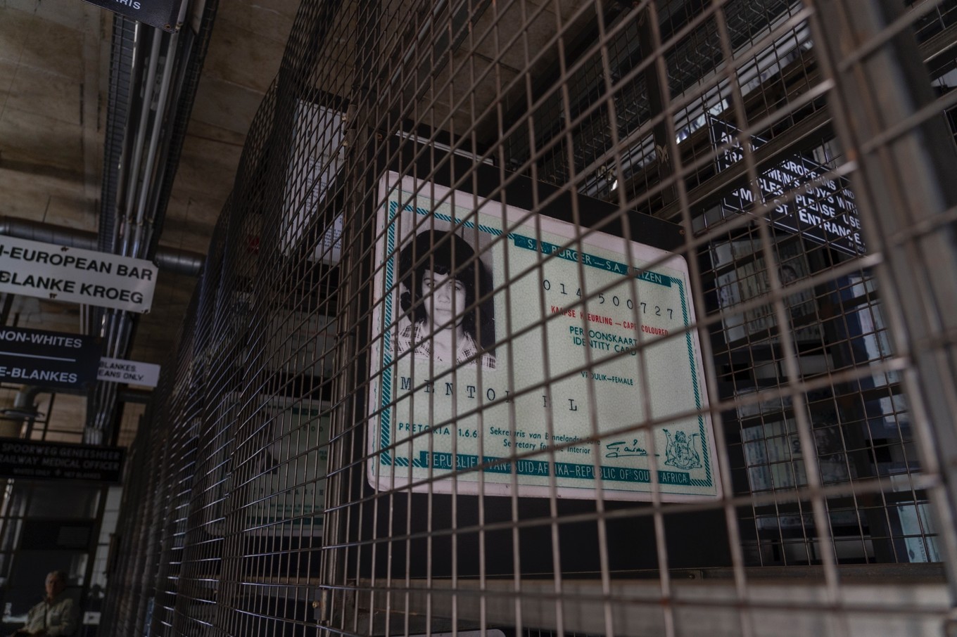 南非自驾游,南非自驾游最新