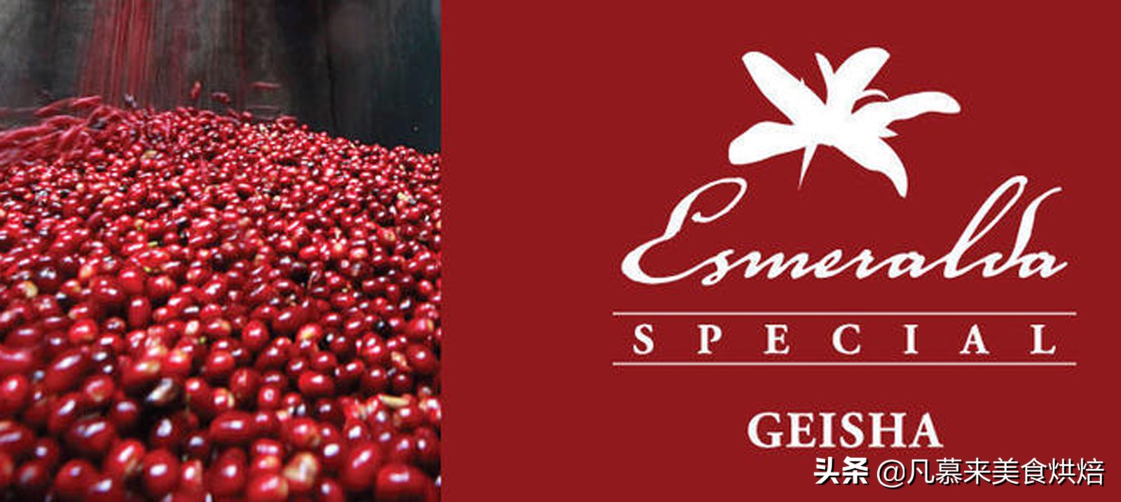 云南咖啡你必须了解的中国好咖啡,云南咖啡高端咖啡