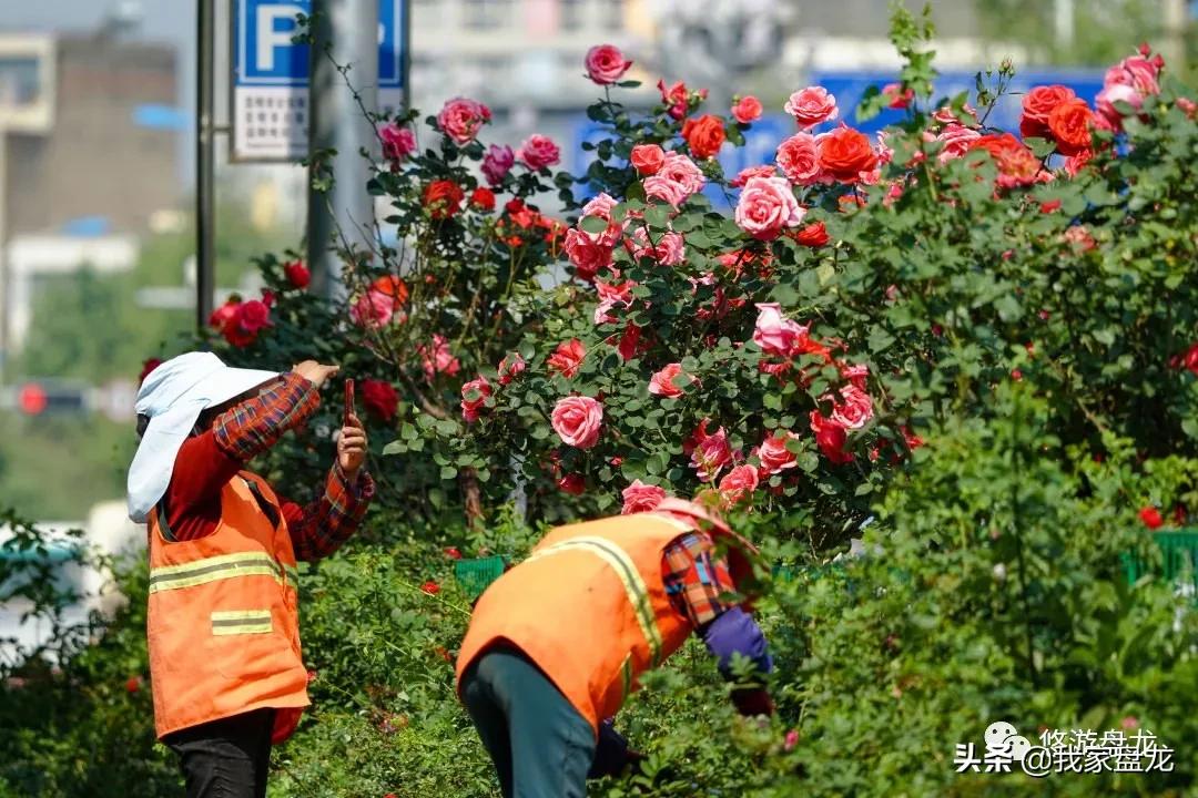 100张照片一百种幸福,100张图片带你去云南