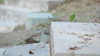 adidast头鞋脚感,adidas曾经的刀锋鞋