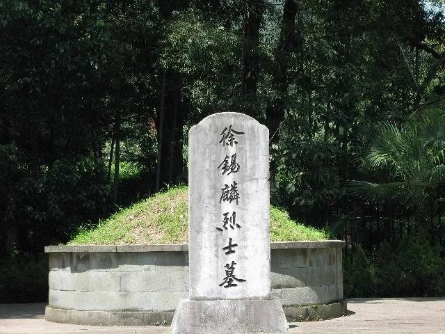 徐锡麟是哪次起义,徐锡麟被用刑