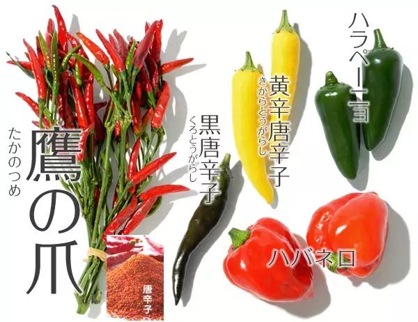 日本人喜欢辣椒吗 (日本人对辣椒的热爱)