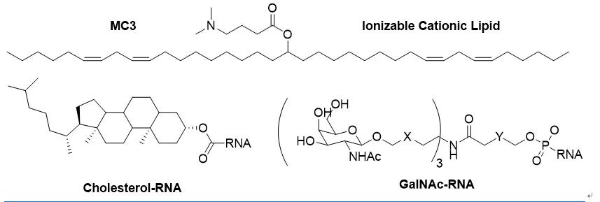 rna药物发展前景,生物科技2025年