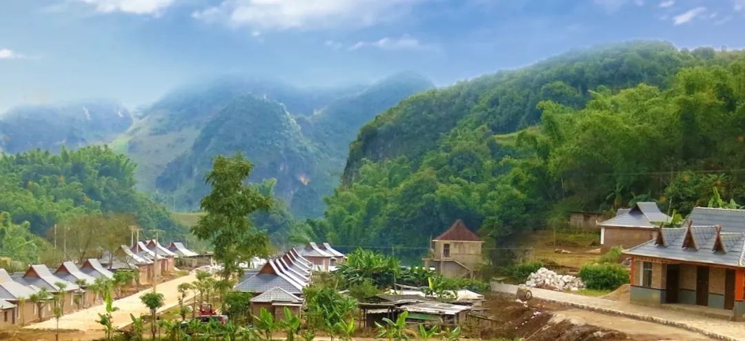 人民大会堂推销土豆，收1500个农民学生，10亿专利无偿送出，64岁的农民院士朱有勇火了！