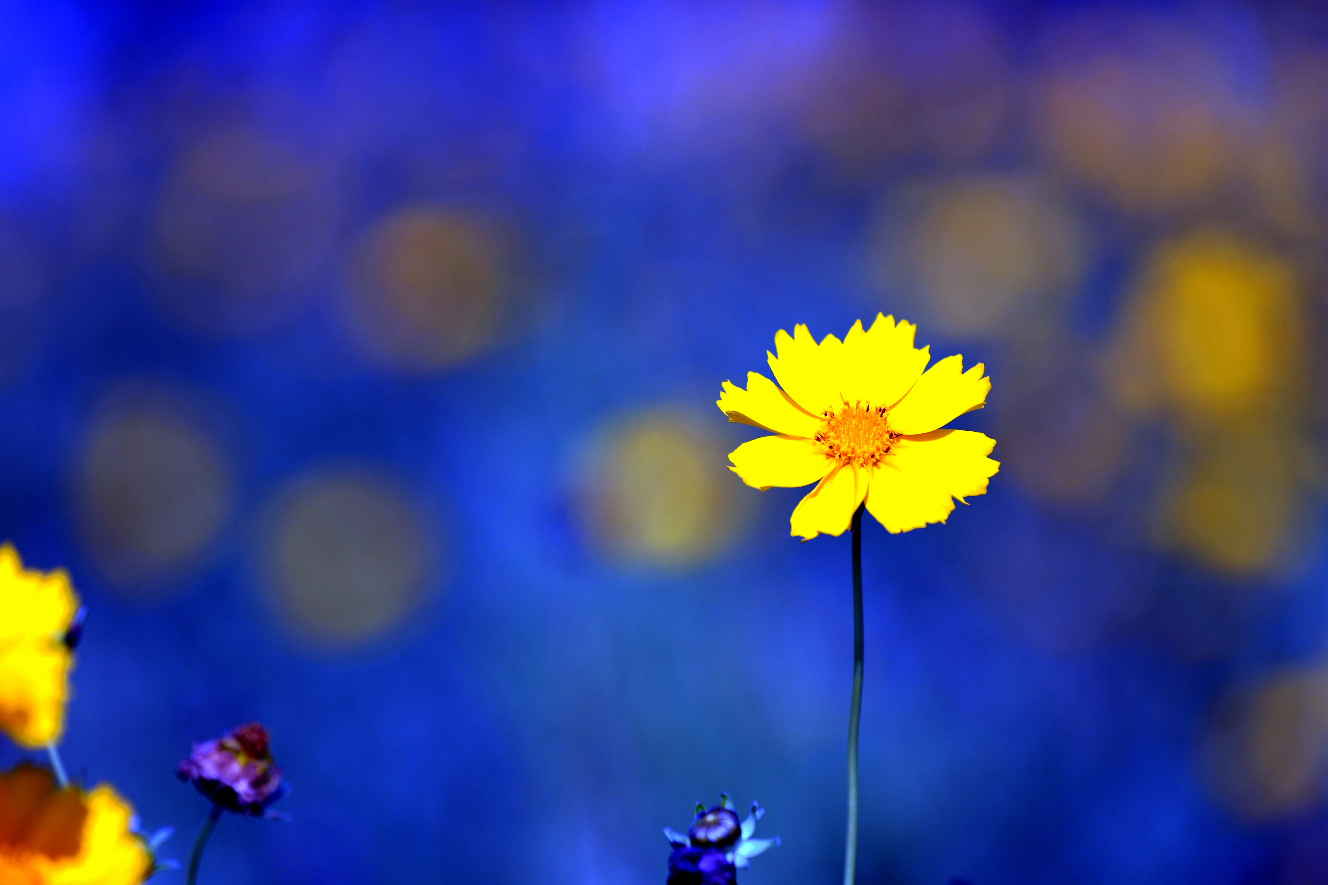 游遍唐山,唐山近代工业的摇篮