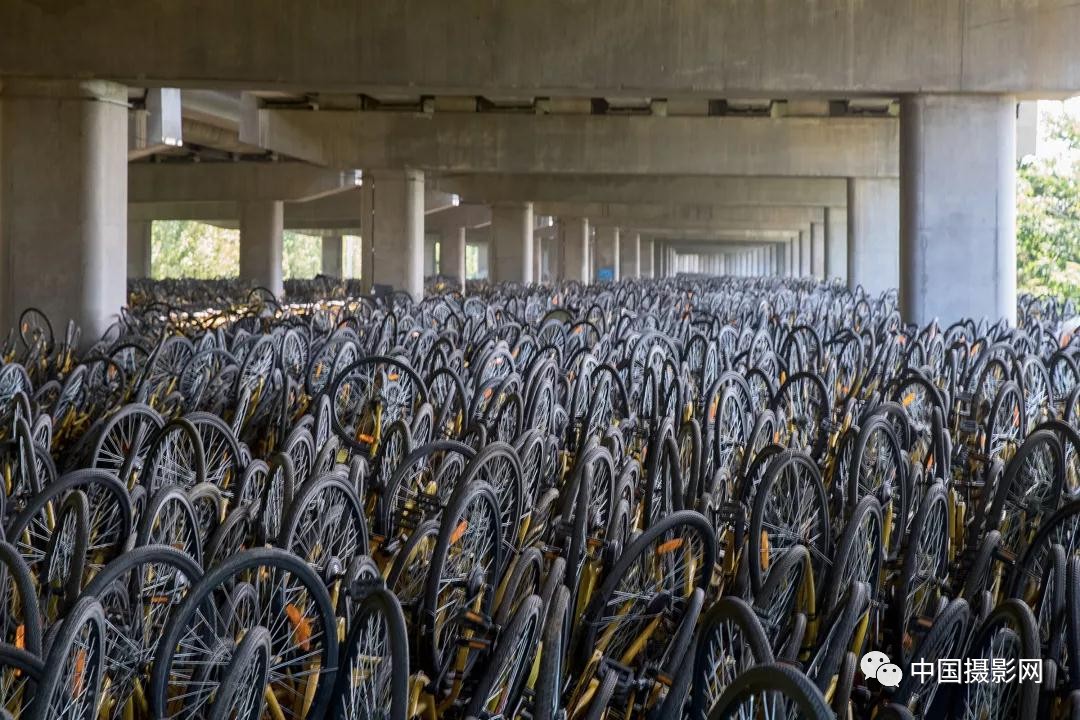 第七届全国摄影十杰获奖者,中国摄影年度人物排名