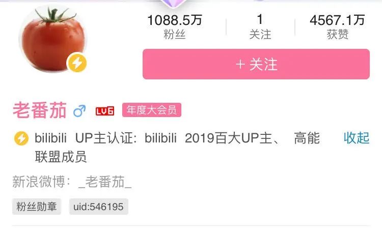 b站二次元相关站点,2次元平台b站