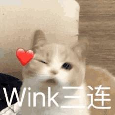 平价小众化妆水,基础平价化妆水