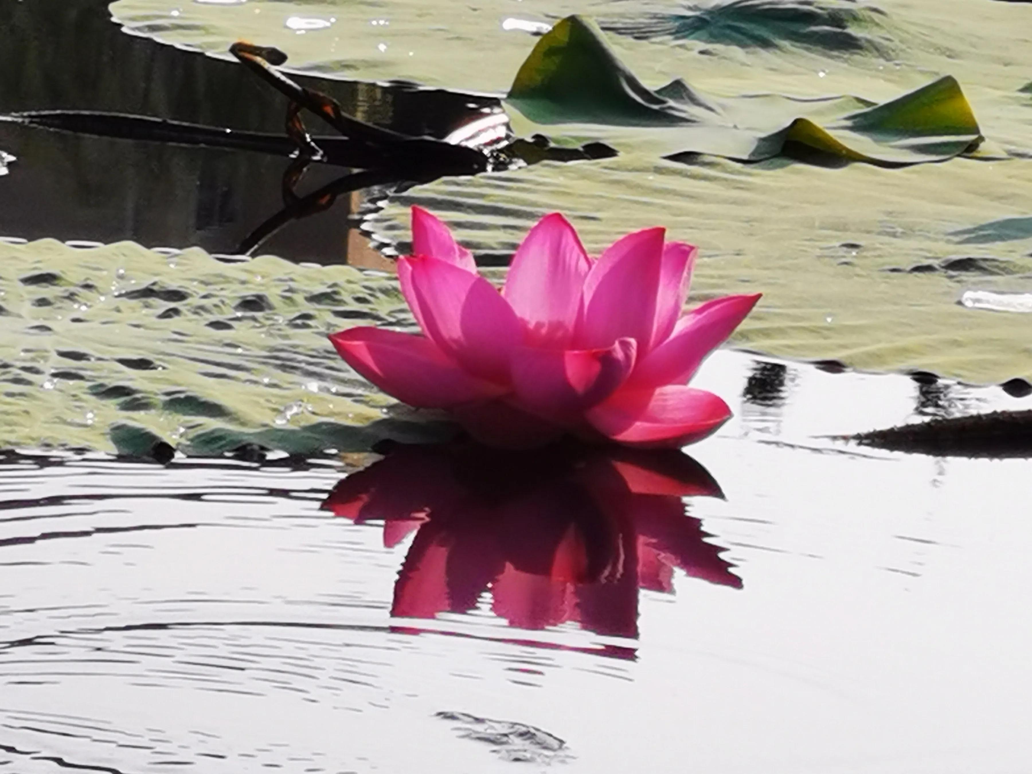 手拍世界投稿,手拍世界作品专集