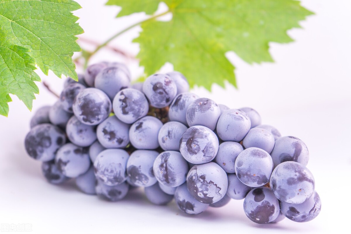 怀孕初期不能吃的十种水果,刚怀孕的准妈妈吃什么菜