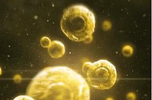 手模怎么护手的,手膜怎么护手视频教程