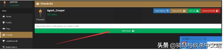 联机骑马与砍杀战团两个人怎么玩,骑马与砍杀战团攻略详解大全