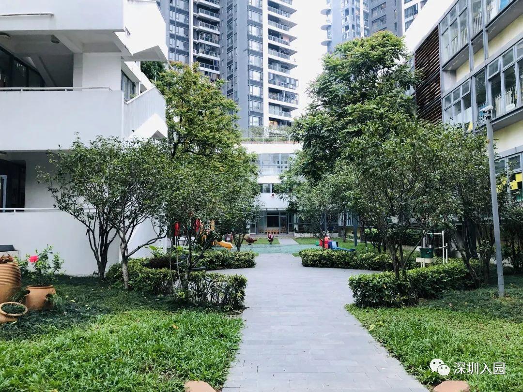 深圳高端幼儿园是哪些,深圳光明高端幼儿园