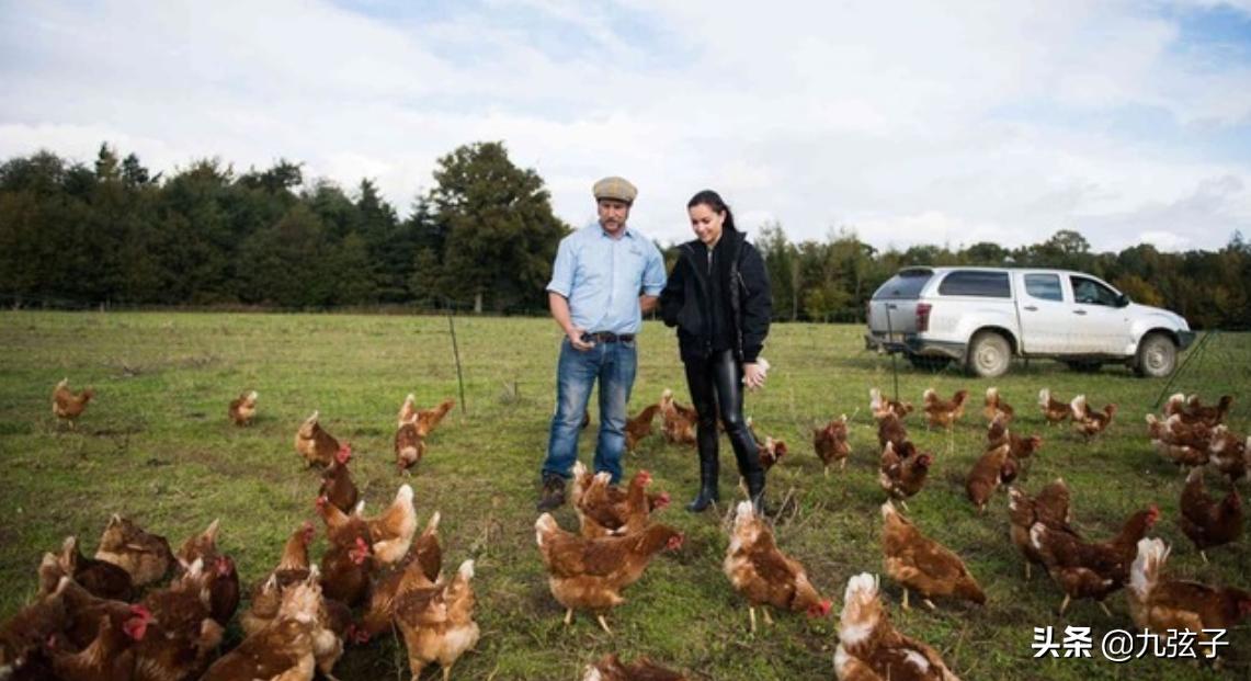 3亿分手费,洗米华陈慧玲图