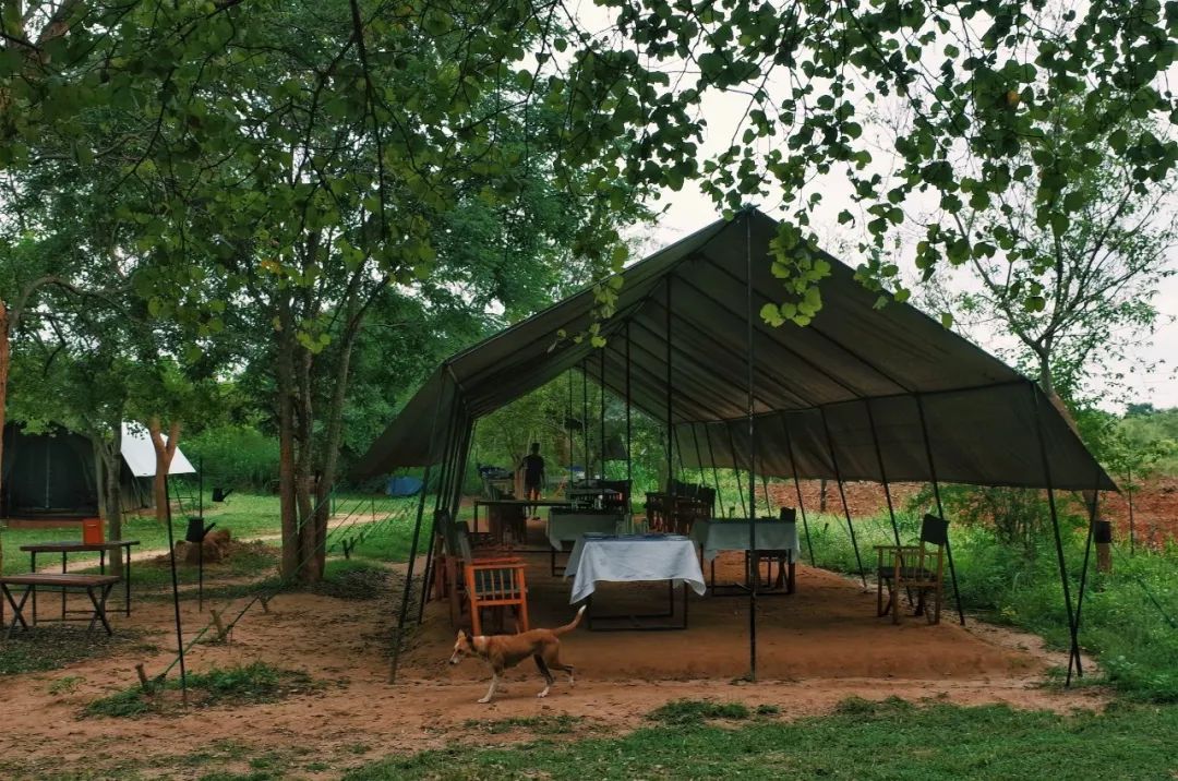 这个曾数次登上LP榜单的微笑国度，还有众多小众酒店值得睡