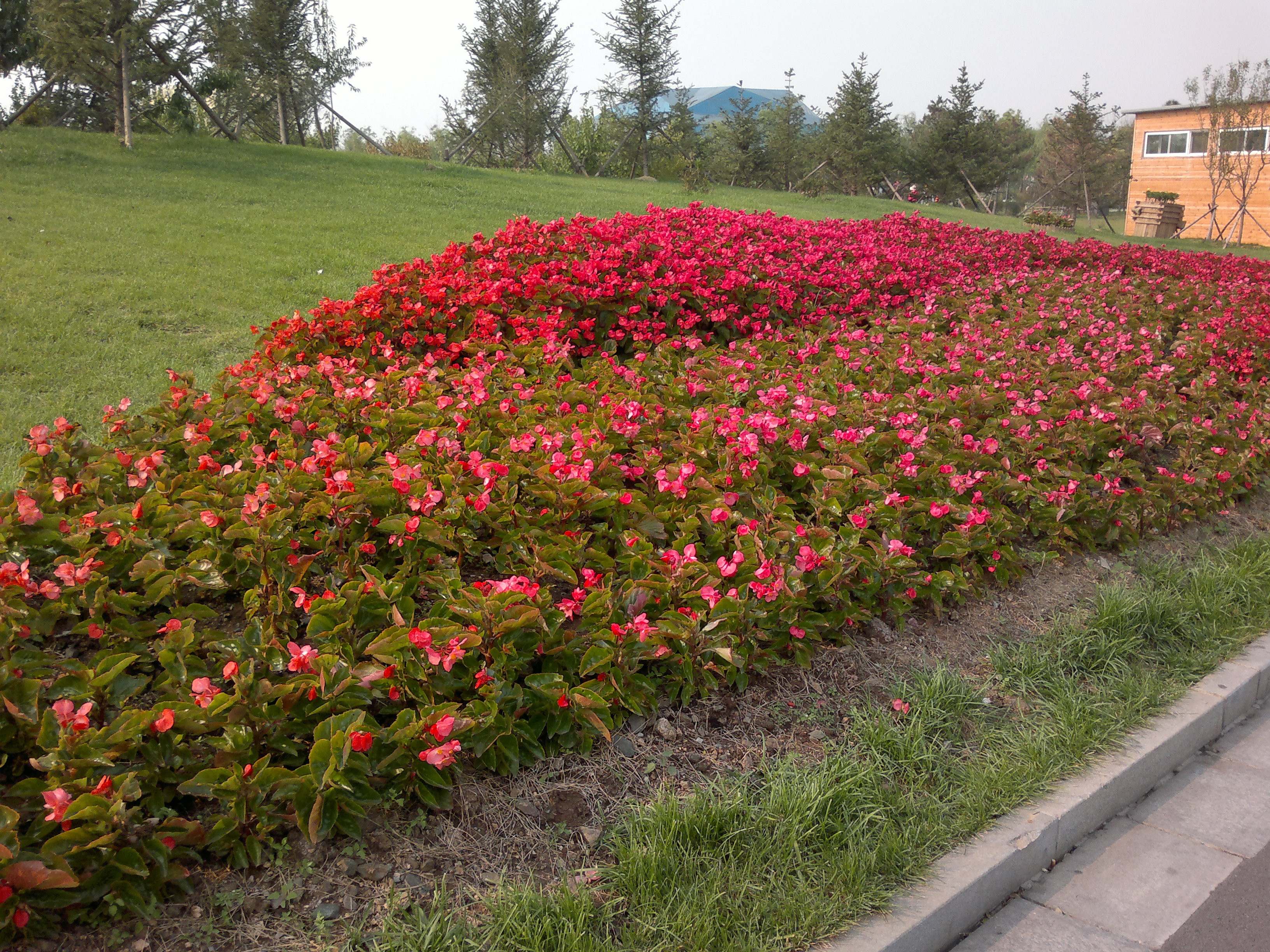 锦州世博园最好的地方,锦州世博园最佳游玩时间