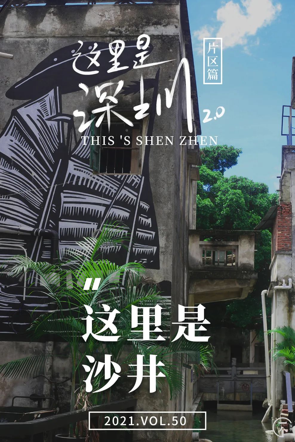 全深圳都要羡慕住在沙井的人,羡慕深圳有房的人