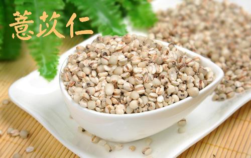 提升消化功能食物,提高消化能力的食物