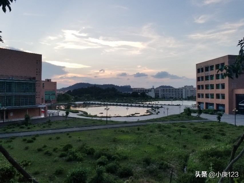 我眼中的岭南师范与广药大。