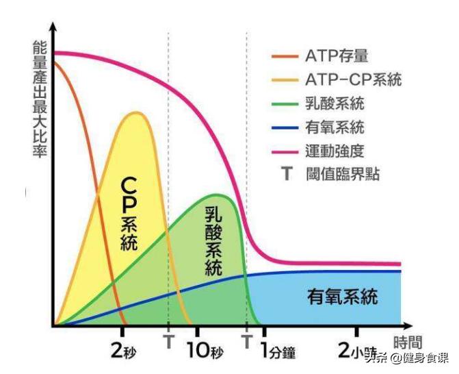 健身肌肉训练何时食用蛋白粉,肌肉男喝蛋白粉还是增肌粉