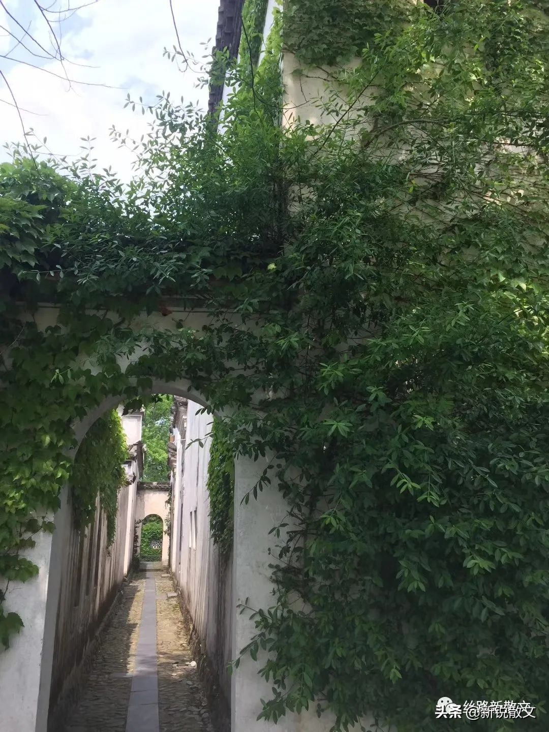 郭芙蓉白展堂同福客栈,同福客栈展堂全集完整版