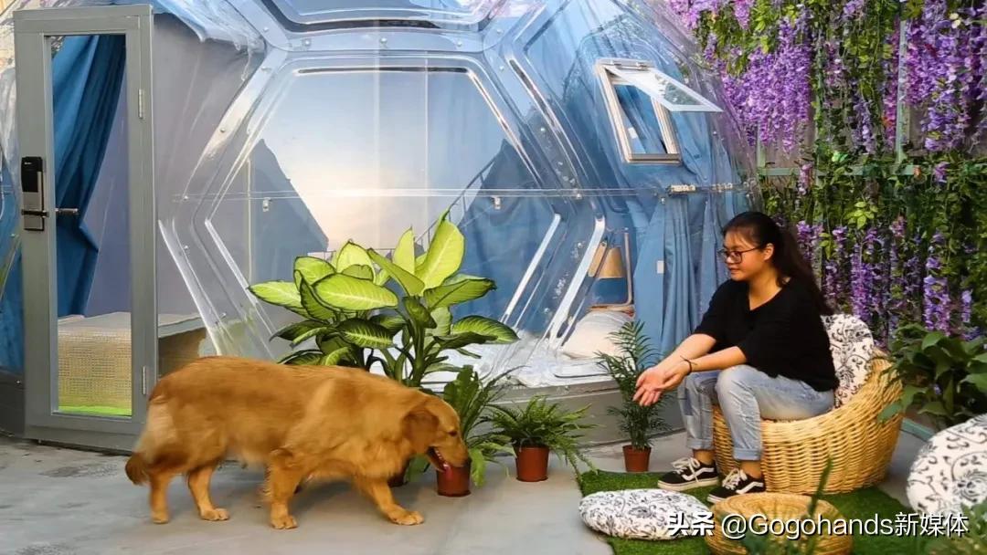 为新款3.8米足球屋让路，定制款4米旧款足球屋最后一批清货