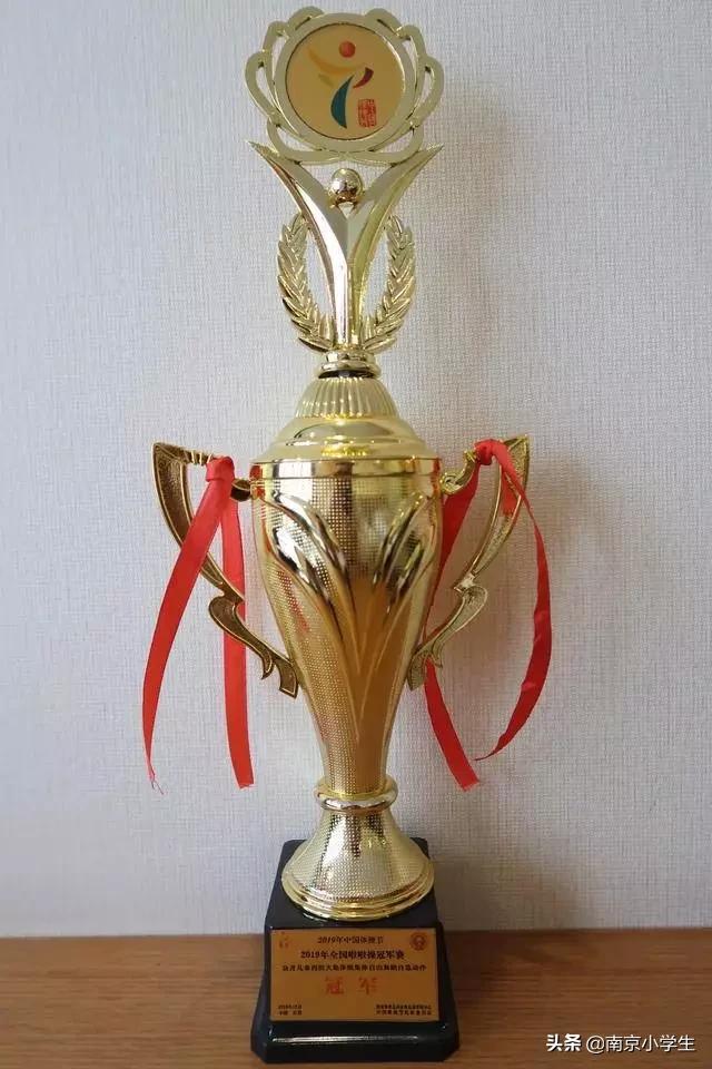 超厉害！芳草园小学这群娃摘得全国双料冠军