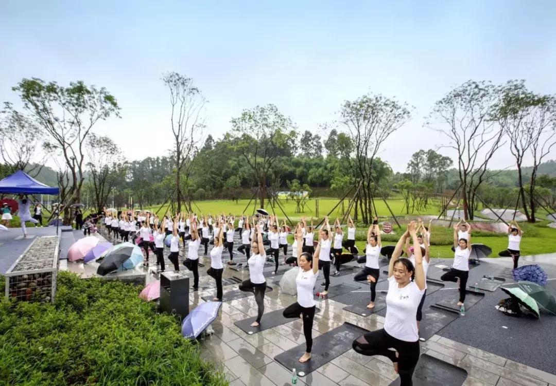 乐山市生态文明,庆祝新中国成立70周年特辑宣讲