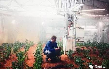 假如被困荒岛吃什么,假如你被困荒岛只能带三样东西