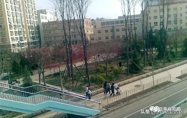 精彩青岛从崂山烟厂到青岛双蝶集团股份有限公司