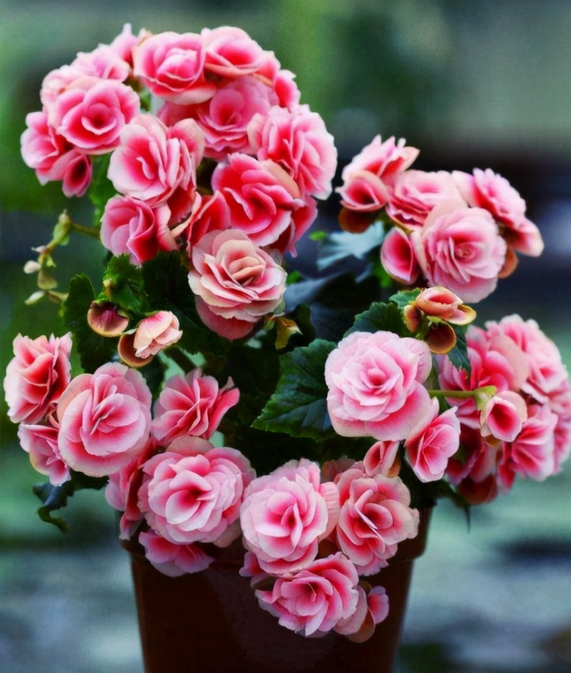 现在网上卖假花有市场吗,怎样卖假花卖得快