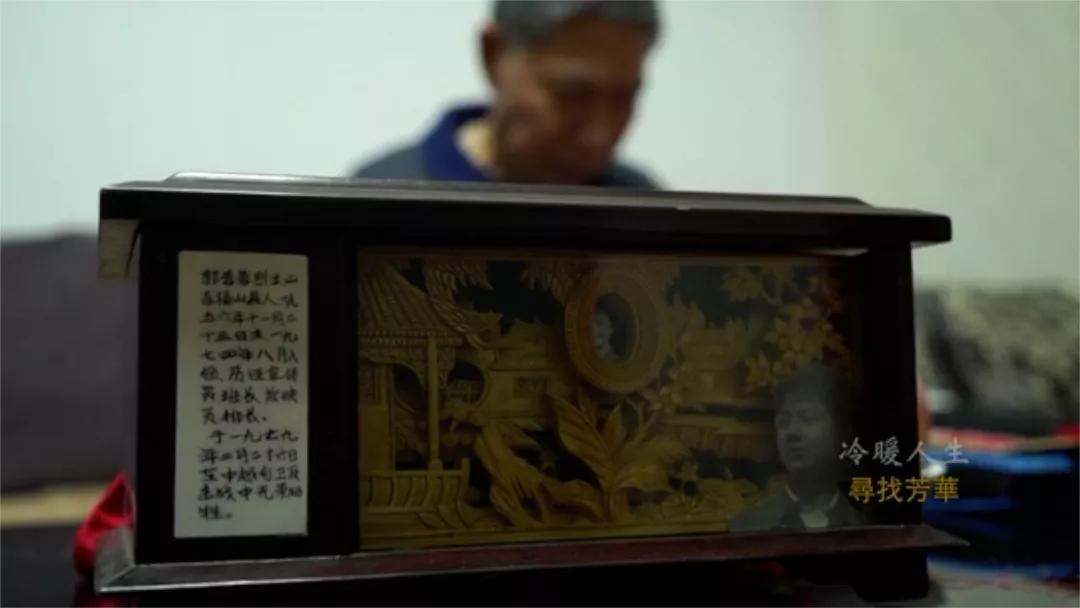 寻找过去的芳华,冷暖人生春草寻找生母