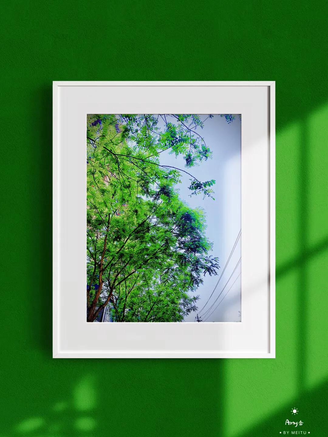 自律方能自由自信,唯有自律才能找回自信改变自我