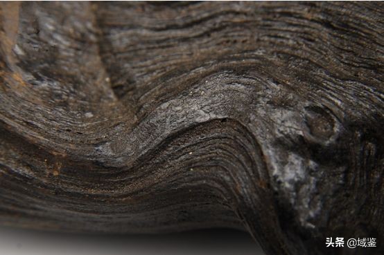 比黄金贵的木头沉香,沉香木比黄金贵
