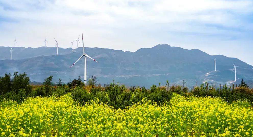 在关键处着笔于危机中寻机!12个关键词看国家电投防疫控疫